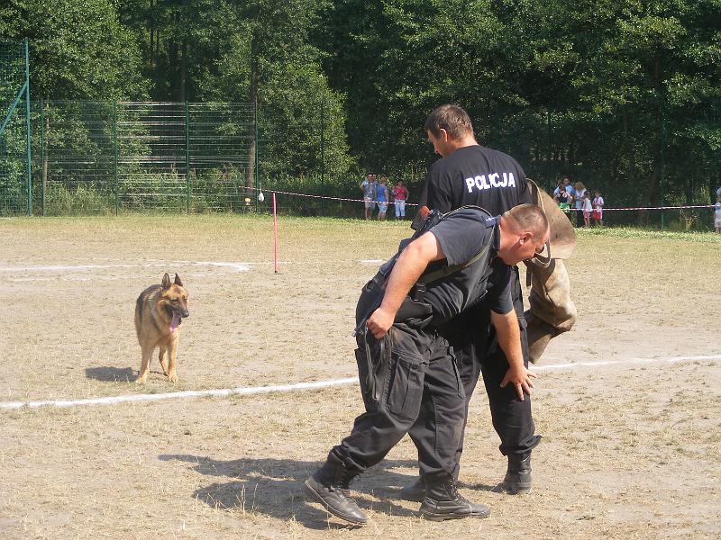 01.07.12r. FESTYN 137